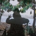 تصویر پرهام شکر زاده
